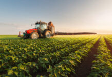 SECTORES PRODUCTIVOS