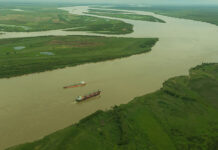 INCENDIOS EN LAS ISLAS DEL PARANÁ