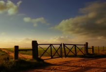 El plan para la agrobioindustria que pondrá en marcha Milei