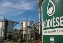 Biocombustibles: Un proyecto pone en riesgo 1500 fuentes laborales