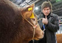 Expo-Centenaria: Gran expectativa por la visita de Milei